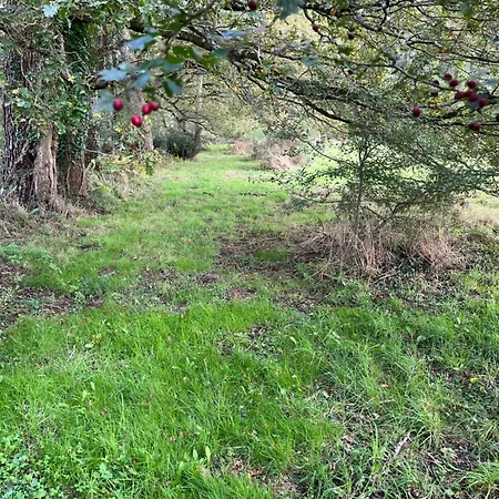 Les Palmiers Challans