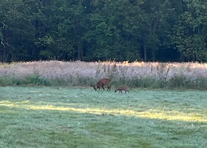 Semesterbostad Les Palmiers *