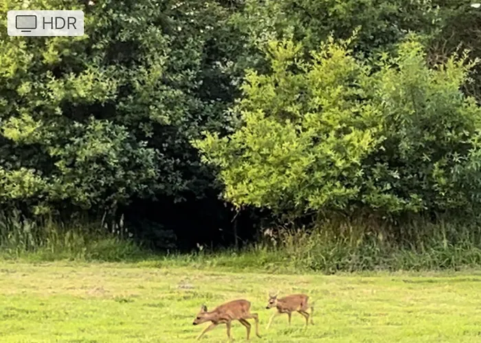 Les Palmiers Prázdninový dům Challans