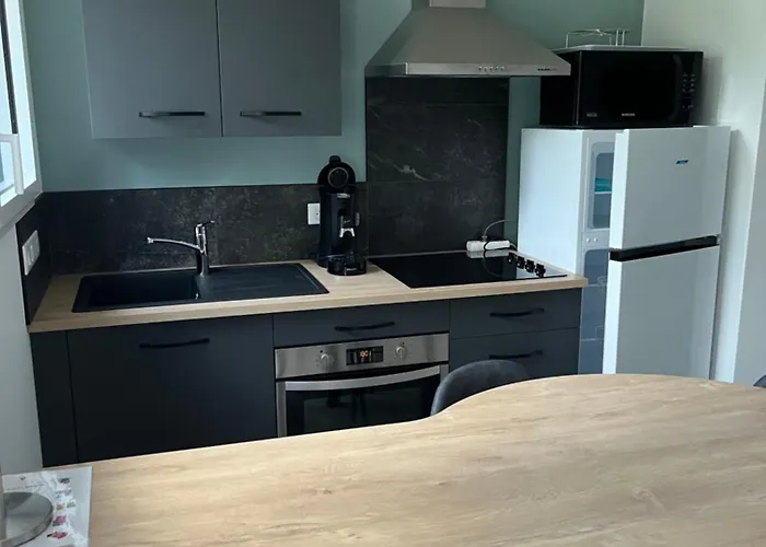 Les Palmiers Prázdninový dům Challans