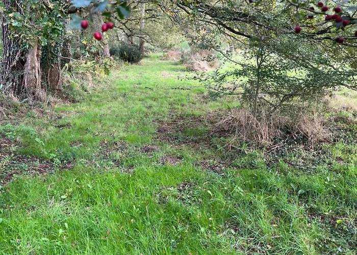 Les Palmiers Challans